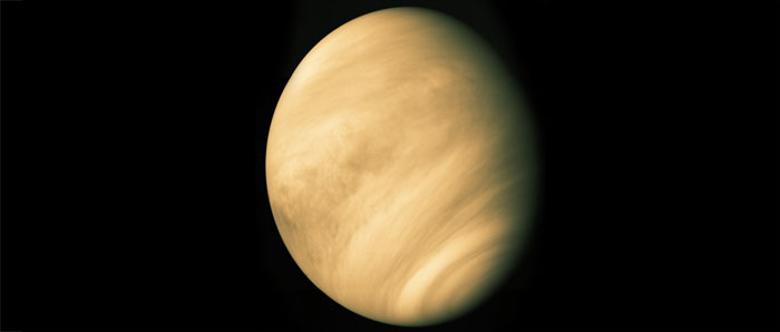 Vénus